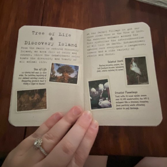 Vintage Original Wildlife Conservation Fund Button and Booklet Animal Kingdom - Picture 2 of 3